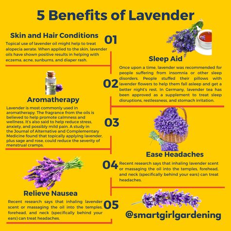 #SpotlightSunday Let's look at the benefits of lavender.⁠ It is most commonly used in aromatherapy. ⁠ How do you use lavender?⁠ ⁠ #herbfact #medicinalherbs #Lavender #herbinfo Benefits Of Lavender, Lavender Skin, Lavender Benefits, Positive Results, Medicinal Herbs, Planting Herbs, Medicinal Plants, Lavender Oil, Hair Conditioner