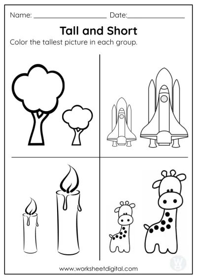 Tall And Short - Worksheet Digital 52B Tall And Short Worksheets Kids, Grade 1 Math Worksheets, Nursery Worksheet, Comparison Worksheet, Thanksgiving Addition, Grade 1 Math, Halloween Counting, Kindergarten Pictures, Nursery Worksheets