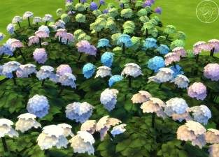 ModTheSims - Chromatic (pH) Scale Hydrangea Acnh Hydrangea Design, Sims 4 Hydrangea, Sims 4 Hydrangea Cc, Hydrangea Anime Art, Hydrangea Color Change, Beaded Hydrangea, Raspberry Plants, Hydrangea Shrub, Peach Trees