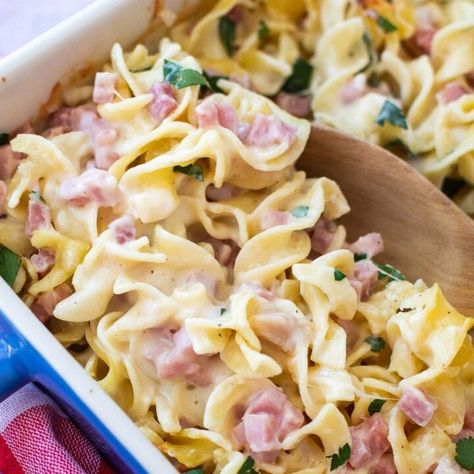 Ham and Noodle Casserole - Casserole Crissy Casarole Dishes, Recipes Using Egg Noodles, Ham And Noodles, Ham Casseroles, Ham Pasta Recipes, Leftover Ham Recipes Crockpot, Leftover Ham Casserole, Healthy Ham, Ham And Noodle Casserole