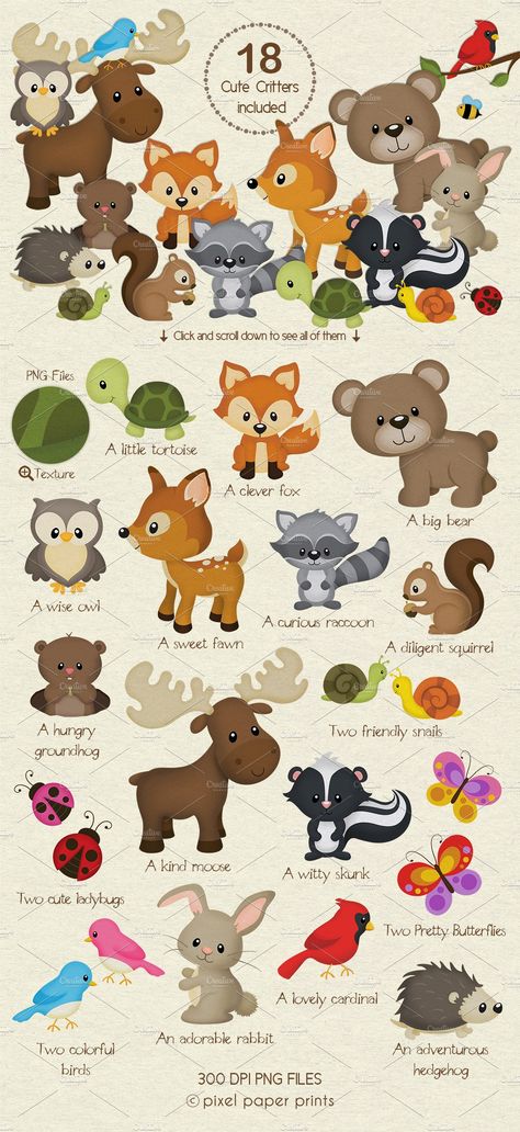 Cute Woodland Animals Drawing, Cartoon Woodland Animals, Drawing Forest Animals, Felt Woodland Animals Pattern Free, Woodland Animal Patterns, Woodland Animals Illustration, Christmas Woodland Animals, Baby Woodland Animals, Woodland Forest Animals