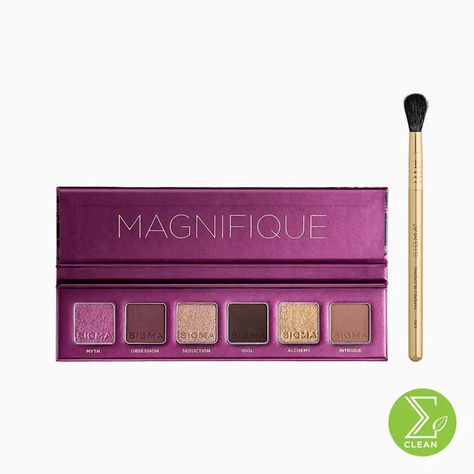 Metallic Eyes, Blending Eyeshadow, Metallic Eyeshadow, Chemical Sunscreen, Petroleum Jelly, Sigma Beauty, Blending Brush, Purple Orchids, Eye Shadow Palette