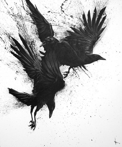 Black Crows, Black Birds, Crows, Black Bird, A Black, Birds, Black, Art