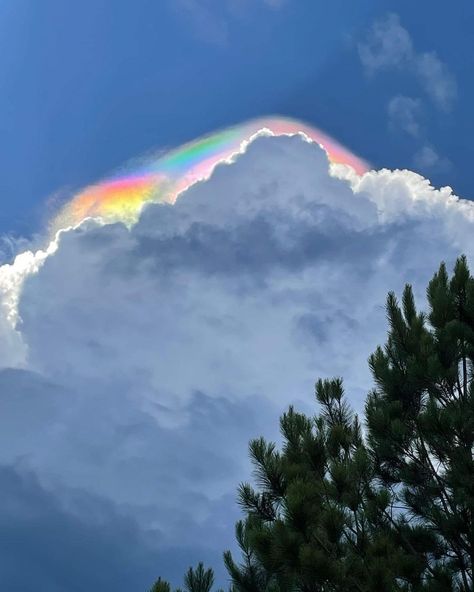 Sacred Geometry Art, Rainbow Sky, Animal Icon, Atmospheric Phenomenon, Cloud Drawing, Look At The Sky, Rainbow Cloud, Amazing Pics, Pretty Sky