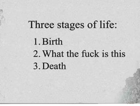 Three Stages Of Life, Stages Of Life Quotes, Stages Of Life, All Minecraft, Really Deep Quotes, Quick Jokes, Deep Thought Quotes, Really Funny Memes, Sarcastic Quotes