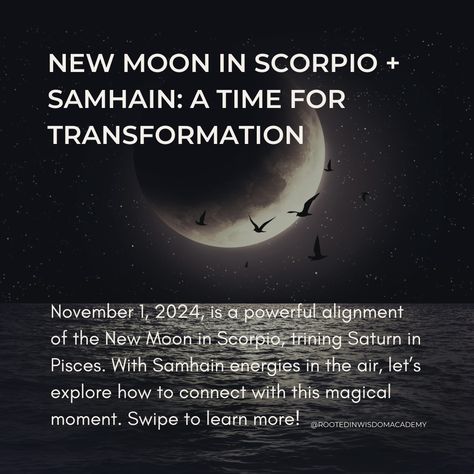 🌑✨ New Moon in Scorpio & Samhain: A Time for Transformation ✨🌑 November 1, 2024, brings the powerful New Moon in Scorpio, perfectly aligned with the energy of Samhain! This alignment, forming a trine with Saturn in Pisces, is here to help you set deep, soul-aligned intentions, connect with ancestral wisdom, and release what no longer serves you. 🕯️ This is a sacred moment to journey inward, ground yourself in lasting change, and honor the past while embracing transformation. Set up an altar... Saturn In Pisces, New Moon In Scorpio, Ancestral Wisdom, Moon In Scorpio, Ground Yourself, Scorpio Moon, November 1, Samhain, New Moon