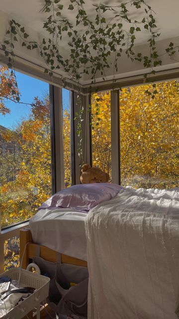 MAIQI 麦琪 on Instagram: "still can’t believe i wake up to this view every day 🍂🤩🍁 — #northeastern #northeasterndorm #collegedorm #dormtour #boston #bostonautumn #bostoncolleges #glassbox #roomwindow" Northeastern Dorm, In The Dog House, Dorm Inspo, Dream School, Window Room, Going To School, I Wake Up, Glass Boxes, West Village