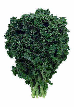 The good: Kale is low in Saturated Fat, and very low in Cholesterol. It is also a good source of Dietary Fiber, Protein, Thiamin, Riboflavin, Folate, Iron, Magnesium and Phosphorus, and a very good source of Vitamin A, Vitamin C, Vitamin K, Vitamin B6, Calcium, Potassium, Copper and Manganese Kale Benefits Health, Curly Kale, Green Leafy Vegetables, Growing Kale, Green Stuff, Green Things, Leafy Vegetables, Leafy Greens, Veggie Garden