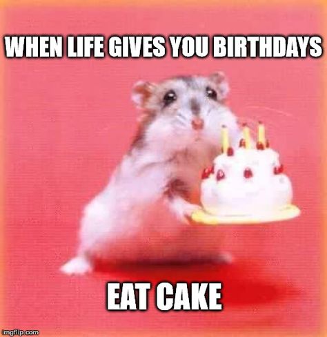 When life gives you birthdays, eat cake.                                                                                                                                                                                 More Belated Birthday Wishes, Happy 17th Birthday, Cute Happy Birthday, Happy Belated Birthday, Happy Birthday Meme, Happy Birthday Funny, Happy Birthday Pictures, Funny Happy Birthday, Belated Birthday