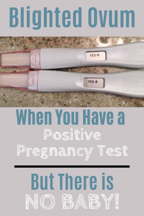 Blighted Ovum, Pregnant Life, Pregnancy After Loss, Motherhood Encouragement, Newborn Needs, Positive Pregnancy Test, 1st Trimester, Baby Loss, Pregnancy Loss