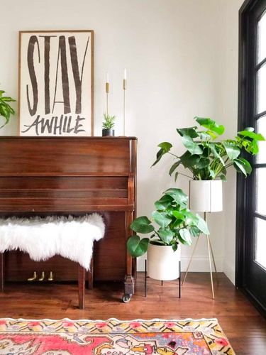 Nature Living Room, Piano Room Decor, Piano Living Rooms, Nature Living, Piano Decor, Vintage Piano, Piano Room, Pretty Plants, Design Sponge