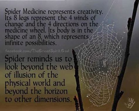 Native wisdom regarding spiders Photos With Quotes, Animal Totem Spirit Guides, Animal Meanings, Spirit Animal Totem, Pet Spider, Spiritual Animal, Native American Wisdom, Animal Spirit Guides, Animal Medicine