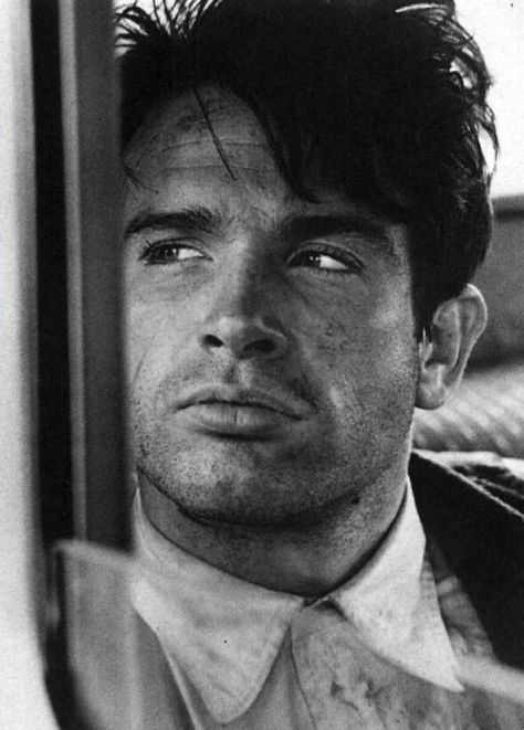 Warren Beatty Young Warren Beatty, Vintage Hollywood Men, Dermot Mulroney, Warren Beatty, Men Are Men, Film Icon, Hollywood Men, Old Hollywood Stars, Va Va Voom