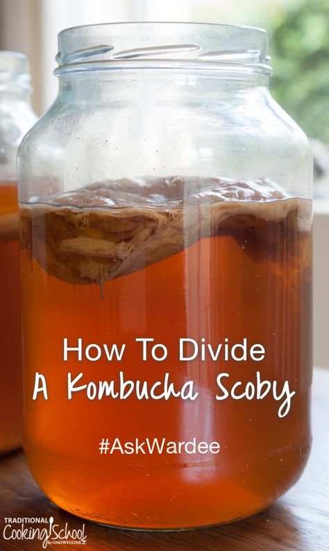 Remedy Kombucha, Hangover Remedy, Making Kombucha, Kombucha Benefits, Kombucha Flavors, Kombucha Scoby, How To Brew Kombucha, Homemade Kombucha, Kombucha Recipe