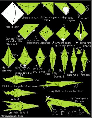 Read Praying Mantises by Aaron Carr and try your hand at your own origami mantis! Origami Grasshopper, Origami Decor, Origami Kusudama, Paper Cute, Origami Paper Art, How To Make Origami, Butterfly House, Praying Mantis, Kids Church