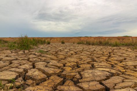 🌍 Our land is suffocating under the weight of unethical livestock farming practices.🌱 🚨 🔥 Urgent action is needed! Each passing moment further degrades our land, threatening food security and exacerbating climate change. 🌾💧 🌳 Did you know? Unethical livestock farming contributes to deforestation and soil erosion. It's time to break the cycle! 🚫🌳 #FoodSecurity #Sustainability #GlobalWarming #ClimateChange #LandDegradation #EthicalFarming #ecofarmit Soil Erosion Pictures, Soil Degradation, Land Degradation, Soil Conservation, Soil Erosion, Livestock Farming, Break The Cycle, Farm Field, Environmental Pollution