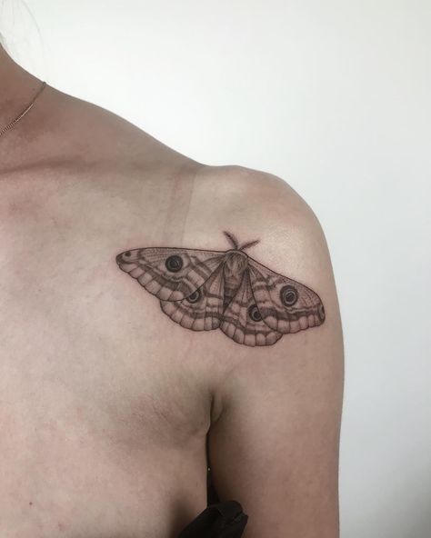 Emperor Moth Tattoo Design, Emperor Gum Moth Tattoo, Io Moth Tattoo, Moth Elbow Crease Tattoo, Moth With Eyes Tattoo, Elbow Moth Tattoo, Emperor Moth Tattoo, Small Moth Tattoo, Cherry Blossom Tattoo Shoulder