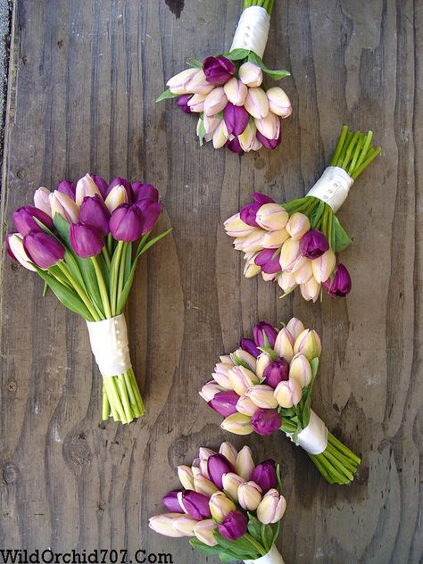 Bridesmaid and maid of honor bouquets. These hand tied bouquets are a combination of purple and blush tulips for a spring wedding at Paradise Ridge. Sonoma County wedding flowers by The Wild Orchid.  #wildorchid707 #sonomaweddings #sonomaflorist #weddingflowers #floraldesign #weddings #flowers #brides #weddingdecor #winecountryflorist #napaflorist  #weddinginspiration #sonomacountyweddingflowers #tulips #paradiseridge Blush Tulips, Bridesmaid And Maid Of Honor, Wedding Flowers Wildflowers, Tulip Wedding, Purple Wedding Flowers, Hand Tied Bouquet, Tulip Bouquet, Hand Bouquet, Purple Tulips