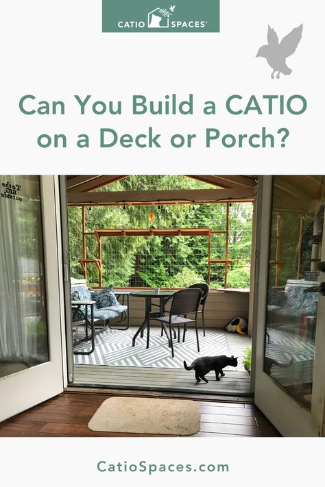 Catio Screened In Porch, Pergola With Catio, Catio Enclosure Outdoor Cats, Under Deck Cat Enclosure, Cat Proof Deck, Screened In Porch With Catio, Screened In Porch Cat Friendly, Cat Proof Screened In Porch, Catio Patio