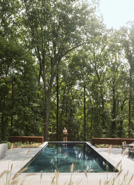 Outdoor, Trees, Shrubs, Large Patio, Porch, Deck, Back Yard, and Swimming Pools, Tubs, Shower In back, the swimming pool abuts a steep drop-off. Photo 8 of 14 in After a Fire, a Maryland Couple Turn to Charred Wood to Rebuild Their House Cool Swimming Pools, Charred Wood, Concrete Pool, Residential Architect, Modern Pools, Casa Exterior, Backyard Living, Swimming Pool Designs, Garden Pool