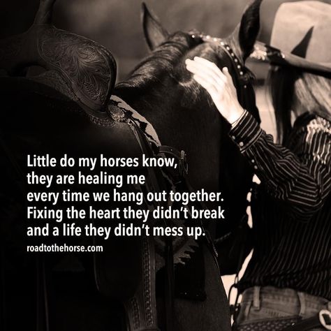 Horse Poems, Equestrian Workout, Rodeo Quotes, Equine Quotes, Inspirational Horse Quotes, Western Quotes, Horse Riding Quotes, Equestrian Quotes, Cowboy Quotes