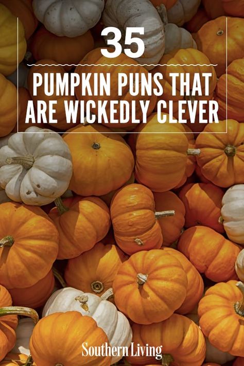 Whether you're whipping up a sweet pumpkin treat or carving faces in jack-o'-lanterns at home, we gathered up some of the most clever puns that are sure to get laughs all season long. Caption your funniest pumpkin pictures with these crafty puns and really give 'em pumpkin to talk about. #fallpuns #funnyfallquotes #pumpkinpuns #instagramcaptions #southernliving Advice From A Pumpkin, Pumpkin Carving Captions Instagram, Jack O Lantern Quotes, Pumpkin Puns Funny, Pumpkin Carving Captions, Pumpkin Quotes Funny, Pumpkin Patch Quotes, Pumpkin Sayings, Pumpkin Jokes