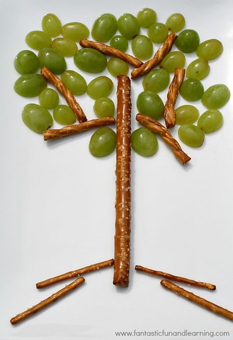 12 Fun Forest Science Activities to Help Kids Learn about Trees Parts Of A Tree, Healthy Food Art, Snack For Kids, Food Art For Kids, The Giving Tree, Preschool Snacks, Fun Kids Food, Healthy Snacks For Kids, Kids Snacks