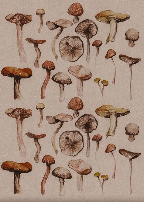 Dark Mushroom Aesthetic, Mushroom Aesthetic Wallpaper, Vintage Autumn Aesthetic, Dark Academia Illustration, Academia Apartment, Academia Illustration, Mushroom Photos, Mushroom Prints, Dark Academia Posters