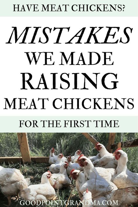 Raising Meat Chickens, Chicken Plucker, Pastured Poultry, Chicken Tractors, Backyard Chicken Farming, Chicken Gifts, Backyard Chicken Coops, So Satisfying, Chicken Farm