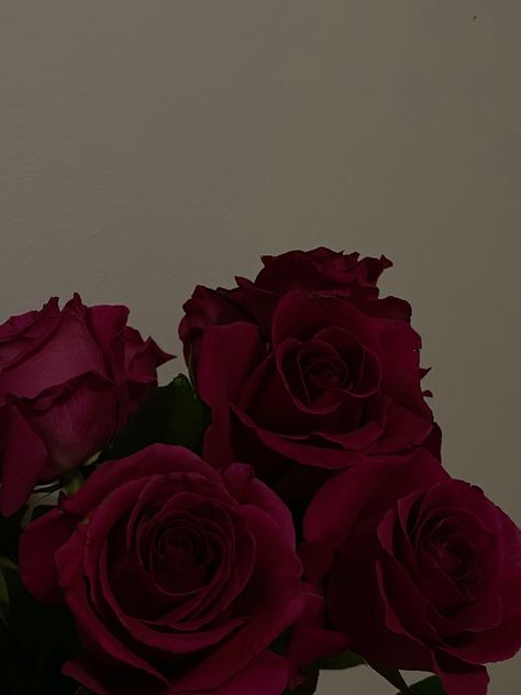 Deep Red Rose Aesthetic, Deep Red Roses Aesthetic, Dark Red Roses Aesthetic, Red Rose Aesthetic, Red Roses Aesthetic, Rosé Dark Aesthetic, Black Baccara Roses, Red Roses Background, Black Baccara