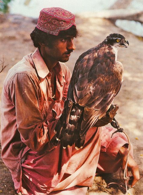 Falcon Hunter . Pakistan Eagle Hunter, Eagle Hunting, Pakistani People, Animal Groups, First Humans, A Moment In Time, South Asia, People Of The World, World Cultures