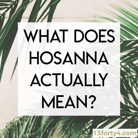 Quotes For Palm Sunday, Meaning Of Hosanna, Prayer For Palm Sunday, Hosanna In The Highest Palm Sunday, What Is Palm Sunday, Palm Sunday Meaning, Palm Sunday Devotion, Hossana Jesus Palm Sunday, Palm Sunday Scripture