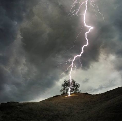 The tree that Jane and Rochester confessed their love under was struck by lightning later that night, foreshadowing the doomed nature of their relationship. Tree In A Field, Thalia Grace, Wild Weather, Stormy Sky, Single Tree, Lone Tree, Thunder And Lightning, Lightning Storm, Stormy Weather