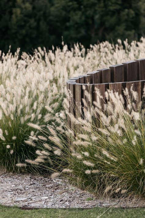 The Plot Landscaping With Boulders And Grasses, Unique Landscaping, Australian Gardens, Australian Garden Design, Australian Native Garden, Grasses Landscaping, Piscina Natural, Australian Garden, Coastal Gardens