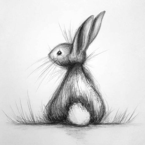 Bunny Illustration Design, Drawing Hands, Bunny Drawing, Drawing Faces, Bunny Art, A Bunny, Pencil Art Drawings, Animal Sketches, Art And Illustration