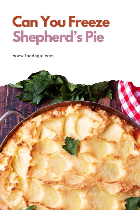 If you are looking to extend the shelf-life of some delicious shepherd’s pie by freezing it, this comprehensive guide has got you covered. Baked Meals, Freezing Leftovers, Shepards Pie, Shepherds Pie Recipe, Shepherds Pie, No Bake Pies, Freezer Meals, Freshly Baked, Shelf Life