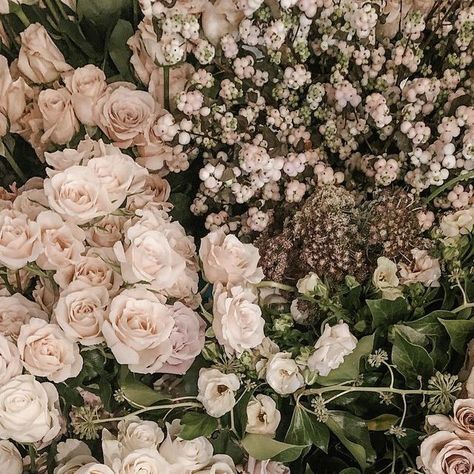 Champagne Roses, Shades Of Nude, Wedding Design, Wedding Designs, Instagram A, Champagne, Blush, Roses, Shades