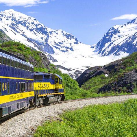 7 Alaska Train Trips You Must Experience From Anchorage | TravelAwaits Alaska Train, National Park Passport, Alaska Railroad, Alaska Glaciers, Alaska Wildlife, Kenai Fjords, Train Tour, Anchorage Alaska, Adventure Bucket List