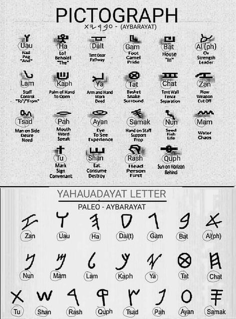 Paleo Hebrew Alphabet, Yahuah Yahusha, Hebrew Vocabulary, Paleo Hebrew, Aleph Bet, Hebrew Alphabet, Hebrew Israelite, Hebrew Language, Learn Hebrew