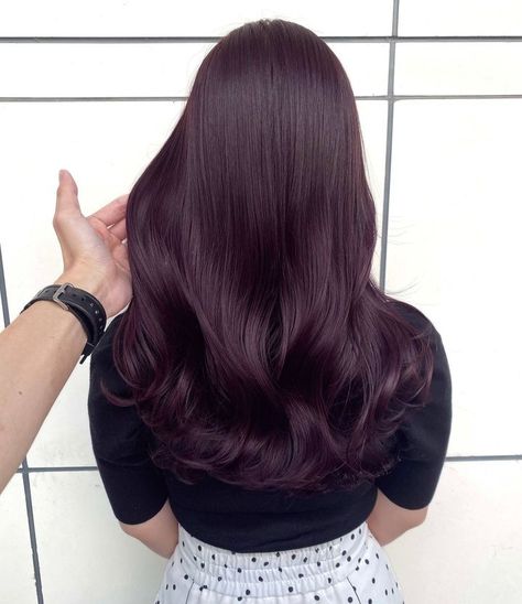 4vv Hair Color, Deep Purple Brown Hair, Cassis Purple Hair, Violet Auburn Hair, Dark Purple Brown Hair, Plum Hair Color On Black Women, Eggplant Hair Color Dark, Black Plum Hair Color, Black Plum Hair