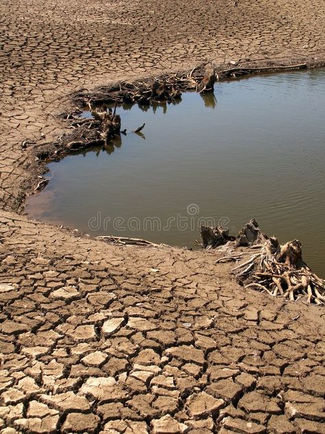 Dry Lake Bed, River Bed, Red River, Animal Skin, Photo Image, Stock Images, Lake, Stock Photos, Natural Landmarks