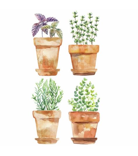 RoomMates Wall Decals Watercolor Potted Herbs | JOANN Potted Herbs, Peel And Stick Wall Decals, Watering Pot, Herb Pots, Water Colors, Instagram Ideas, Joanns Fabric And Crafts, Painting Inspiration, Craft Stores