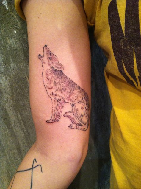 #ZacScheinbaum #savedtattoo #coyote #tattoo Colter Wall Coyote Tattoo, Coyote Howling Tattoo, Coyote Tattoo Women, Coyote Tattoo Traditional, Poem Drawings, Coyote Tattoos, Skull Tattoo Meaning, Coyote Drawing, Coyote Tattoo