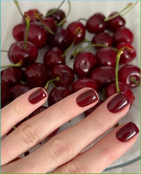 Cherry red nails paris girl french nails fall manicure nail inspiration inspo ideas short nails red nail theory man eater dark feminine sexy bad girl rihanna long tapered square russian manicure gel x shellac european nails hailey bieber nail combo