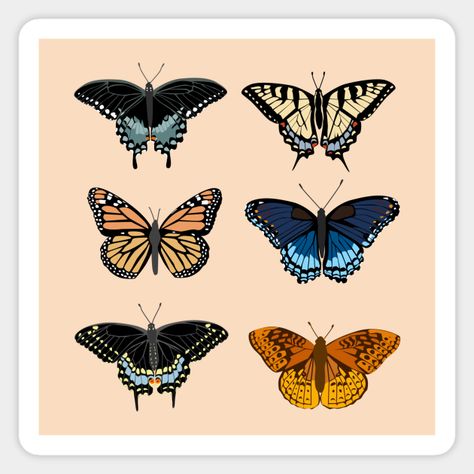 Baby Nursery Murals, Spicebush Swallowtail, Black Swallowtail, Tiger Swallowtail, Butterfly Silhouette, Butterfly Magnet, Nursery Mural, Butterfly Poster, Swallowtail Butterfly