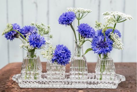 Small Vases With Blue Flowers, Cornflower Wedding, June Wedding Flowers, Cornflower Blue Wedding, Blue Green Wedding, Daisy Wedding Flowers, June Flower, Wedding Flower Ideas, Modern Wedding Flowers