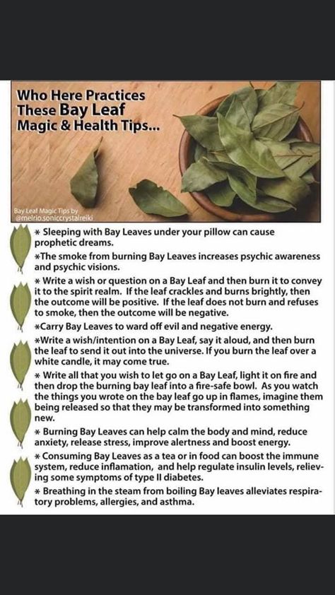 Burn Bay Leaves, Burning Bay Leaves, Magickal Herbs, Witch Herbs, Magia Das Ervas, Magic Herbs, Magical Herbs, Witchcraft Spell Books, Energy Healing Spirituality