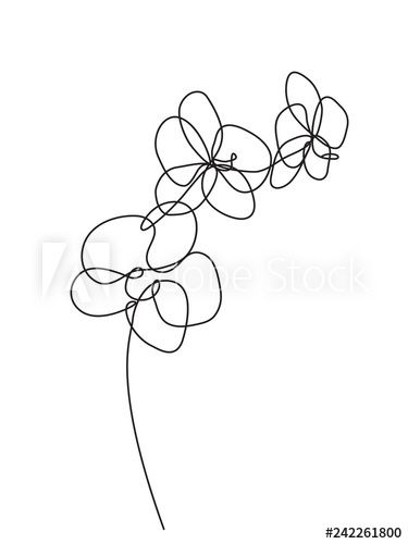 Single Line Orchid Tattoo, Orchid Line Art, Art Sketsa, Face With Flowers, Orchid Illustration, Orchid Drawing, Flowers Black And White, Office Wall Design, Orchid Tattoo