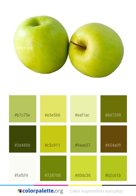 A nice green colour palette for apples.  Original found here: colorpalette.org/produce-fruit-apple-color-palette/ Apple Color Palette, Green Branding, Website Color Palette, Colors Inspiration, Stunning Hairstyles, House Design Pictures, Wall Painting Decor, Neutral Paint Colors, Gardens Design