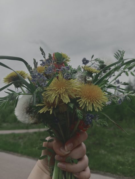 Dandelion Bouquet, Divine Rivals, Photo Bouquet, Nature Instagram, Spring Flowers, Flowers Bouquet, Fun Diys, Dandelion, Dream Wedding